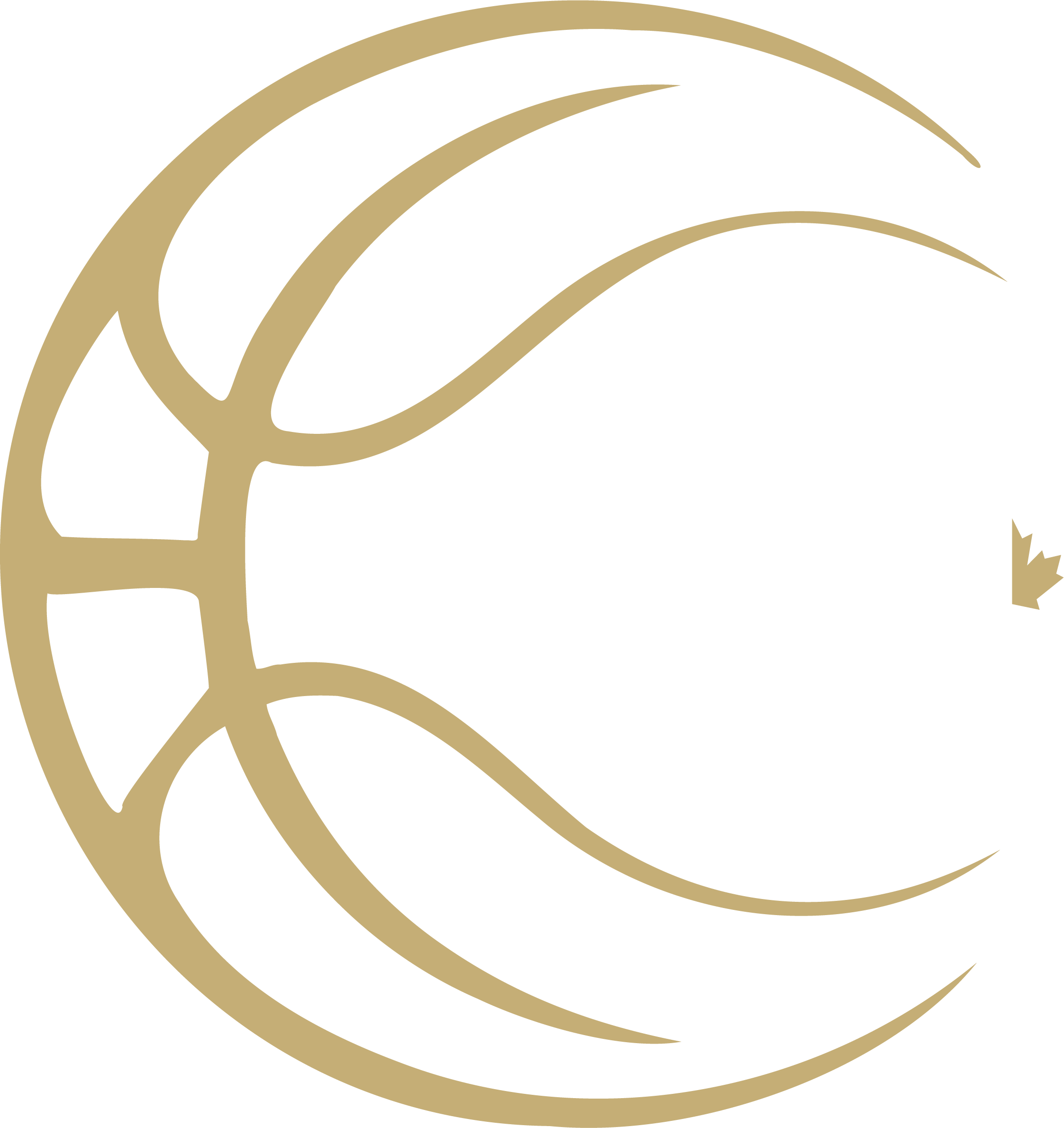 Coalition Basketball League